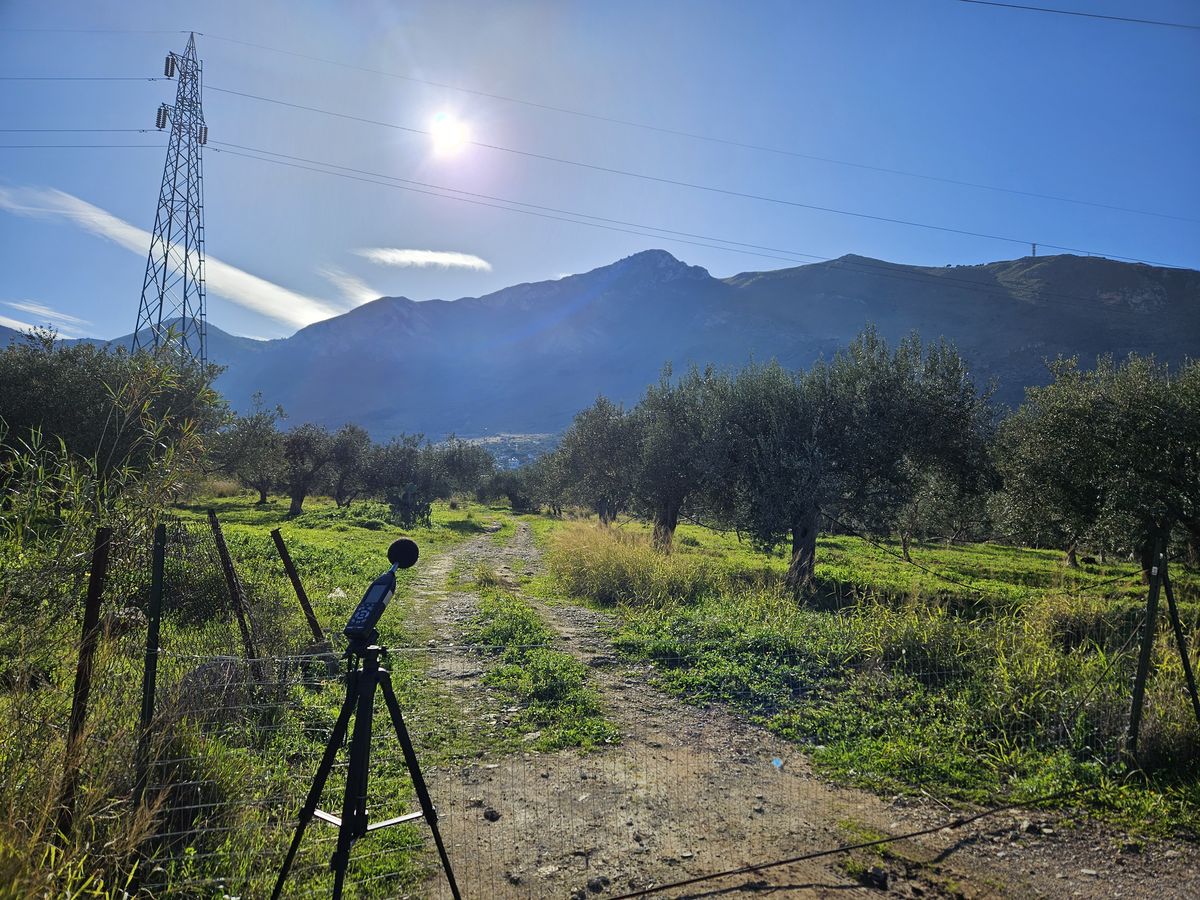 Fonometro su treppiede durante un rilievo di rumore in area rurale, con un traliccio elettrico sullo sfondo